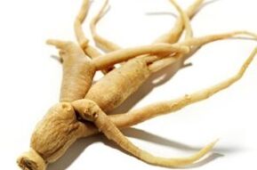 radice di ginseng per migliorare la potenza