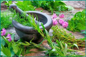 Erbe medicinali per ripristinare la potenza maschile